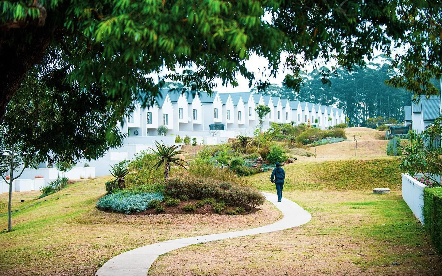 Landscaped walking paths at Emberton Estate