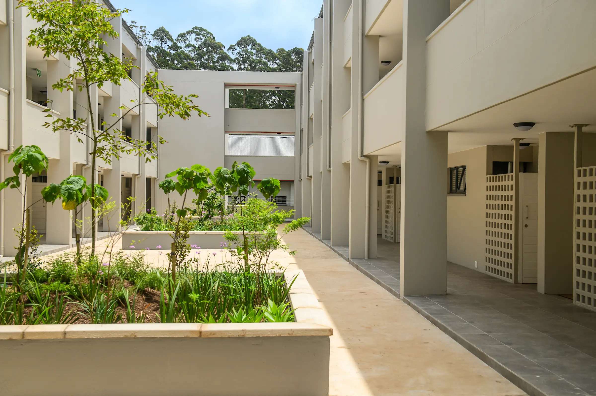Landscaped courtyard between the Aviva apartment blocks
